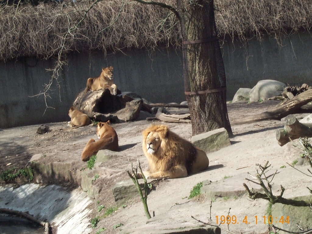 DCP_7433.JPG