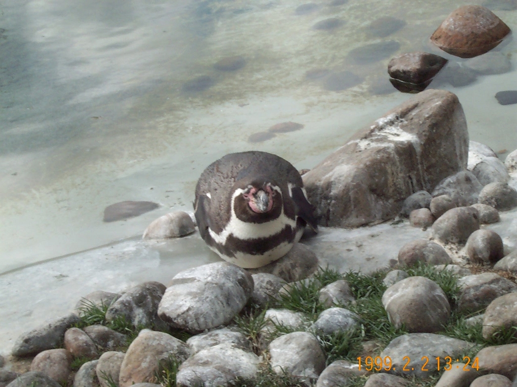 DCP_7516.JPG
