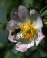 imgg_0903